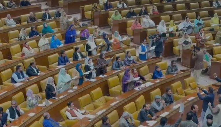 PMLN Punjab Assembly.JPG