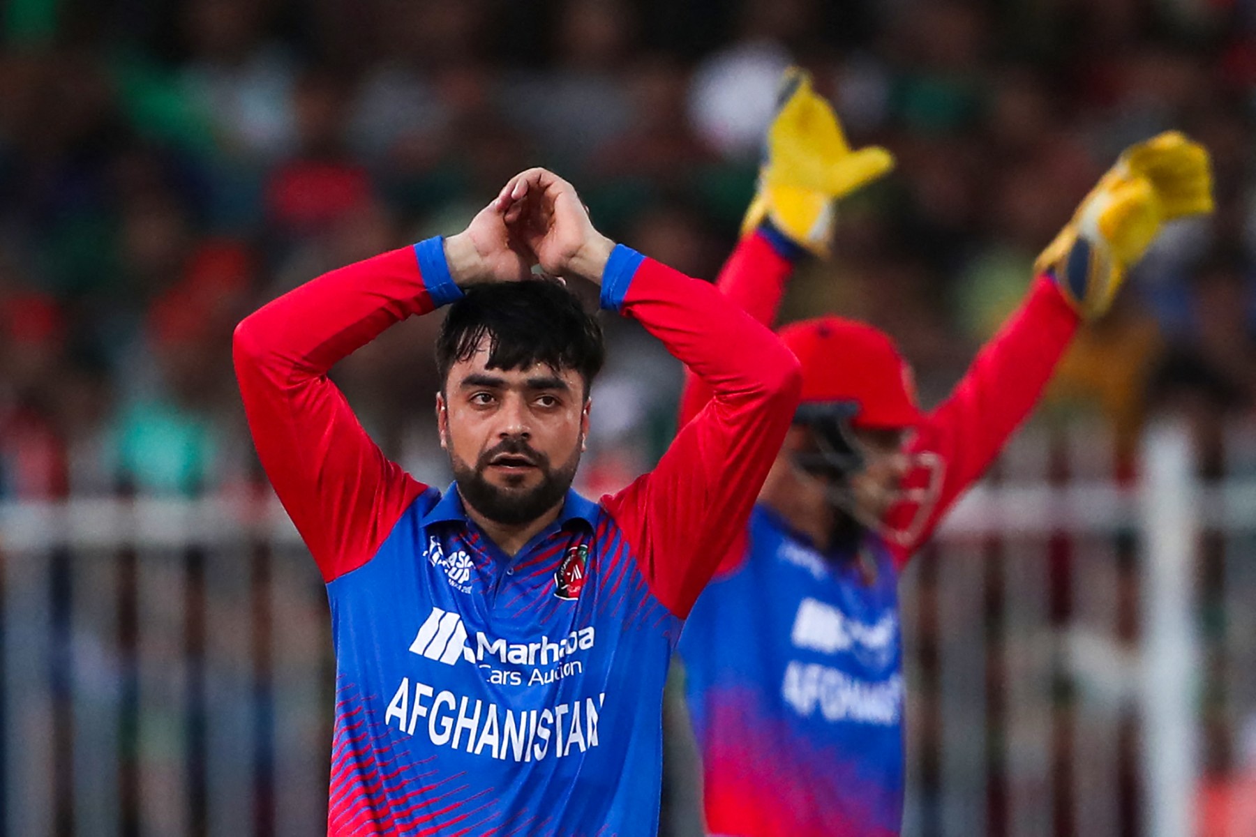 rashid khan.jpg