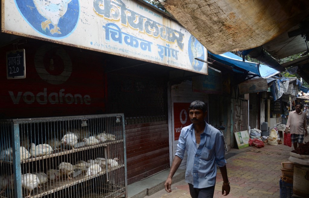 india meat ban.jpg