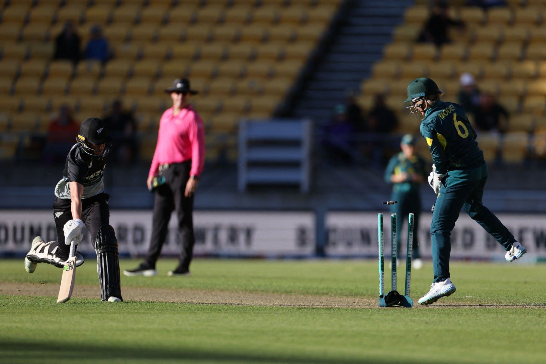 Australia New Zealand Women Cricket.jpg