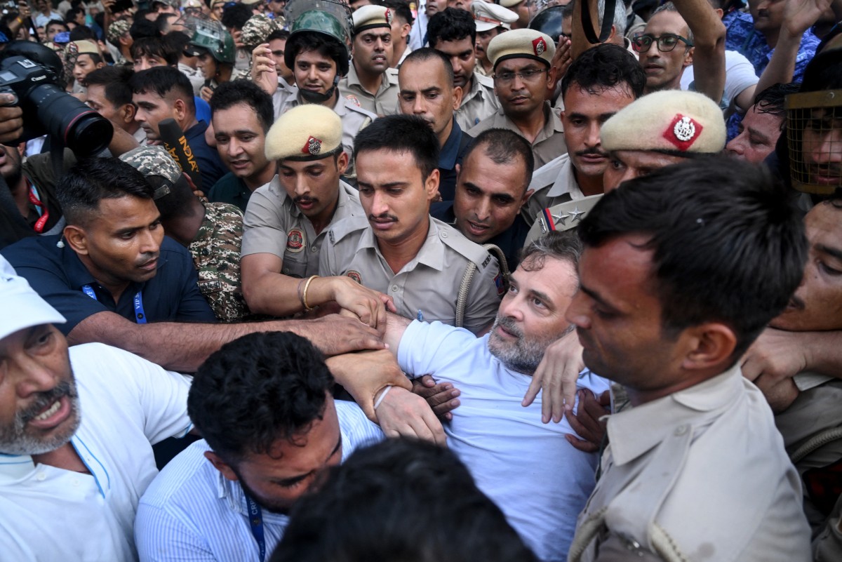 انڈیا: دہلی پولیس نے ’کاکروچ تحریک‘ میں شریک راہل گاندھی کو حراست میں لے لیا