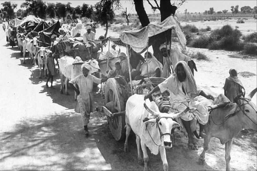 PARTITION.JPEG