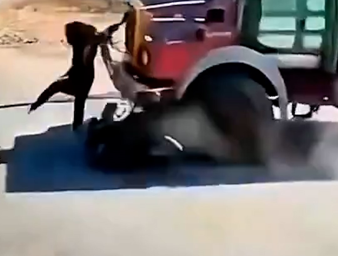 انڈیا میں ایک خاتون ٹرک حادثے میں بال بال بچ گئیں