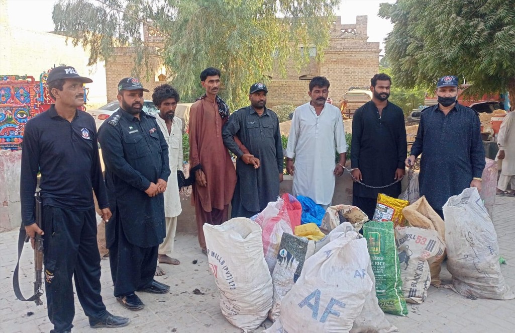 جامشورو: 1700 مردہ جنگلی پرندے برآمد، 5 ملزم گرفتار