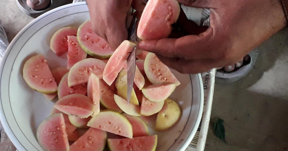 Les goyaves de Kohat ont des caractéristiques uniques de par leur goût et leur couleur