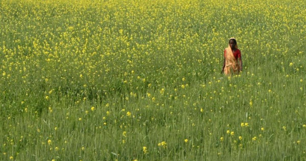 فطرت سے سب سے زیادہ جڑے لوگ کس ملک میں؟