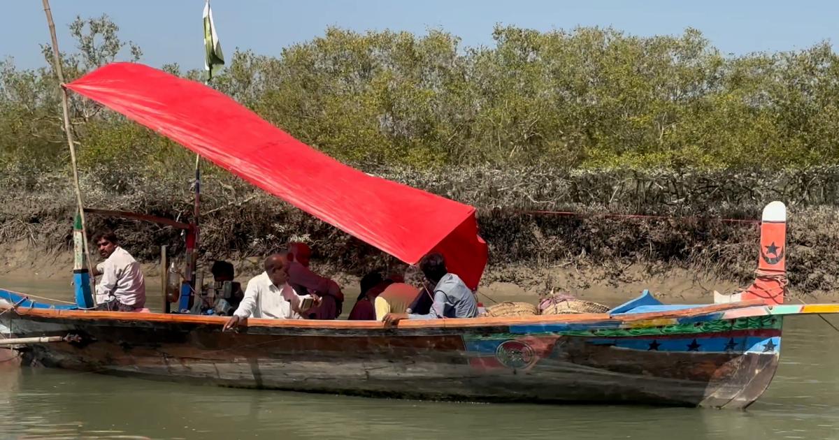 ہجامڑو کریک کے سمندری جنگلات، زرمبادلہ اور موحولیاتی توازن کا ذریعہ