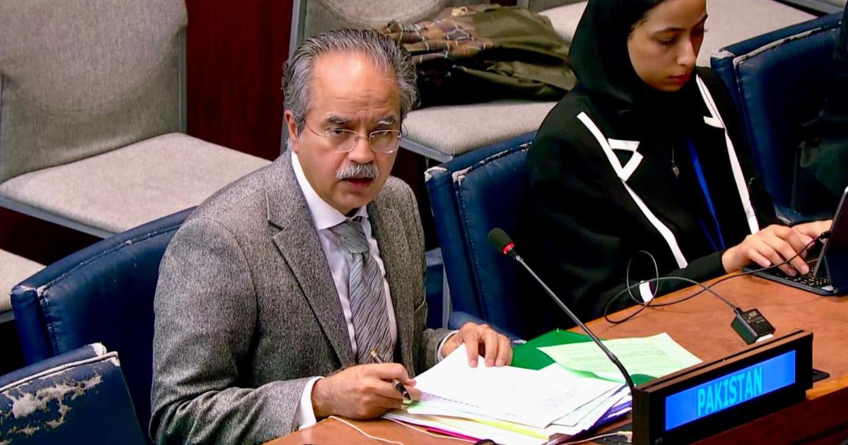 اقوام متحدہ: افغانستان میں عسکریت پسندوں کی اسلحے تک رسائی پر پاکستان کو تشویش