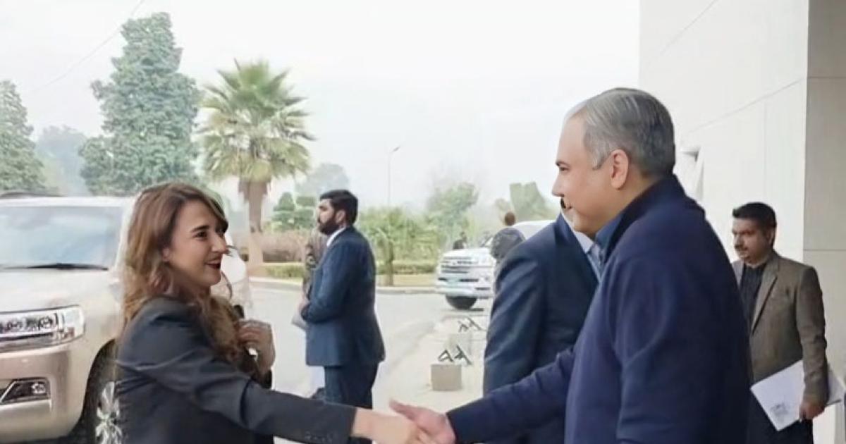 پاکستان، امریکہ مجرموں کی شناخت کے لیے جدید سافٹ ویئر استعمال کریں گے: محسن نقوی