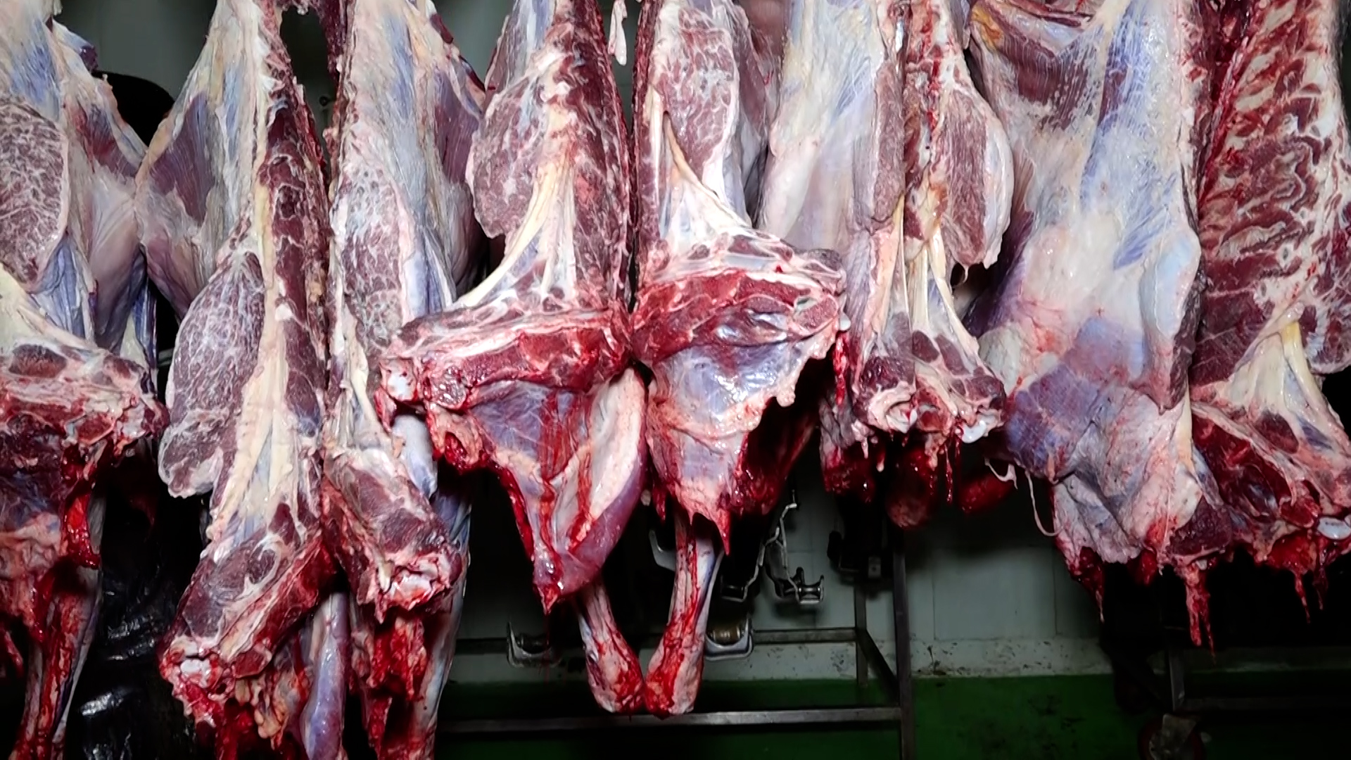meat