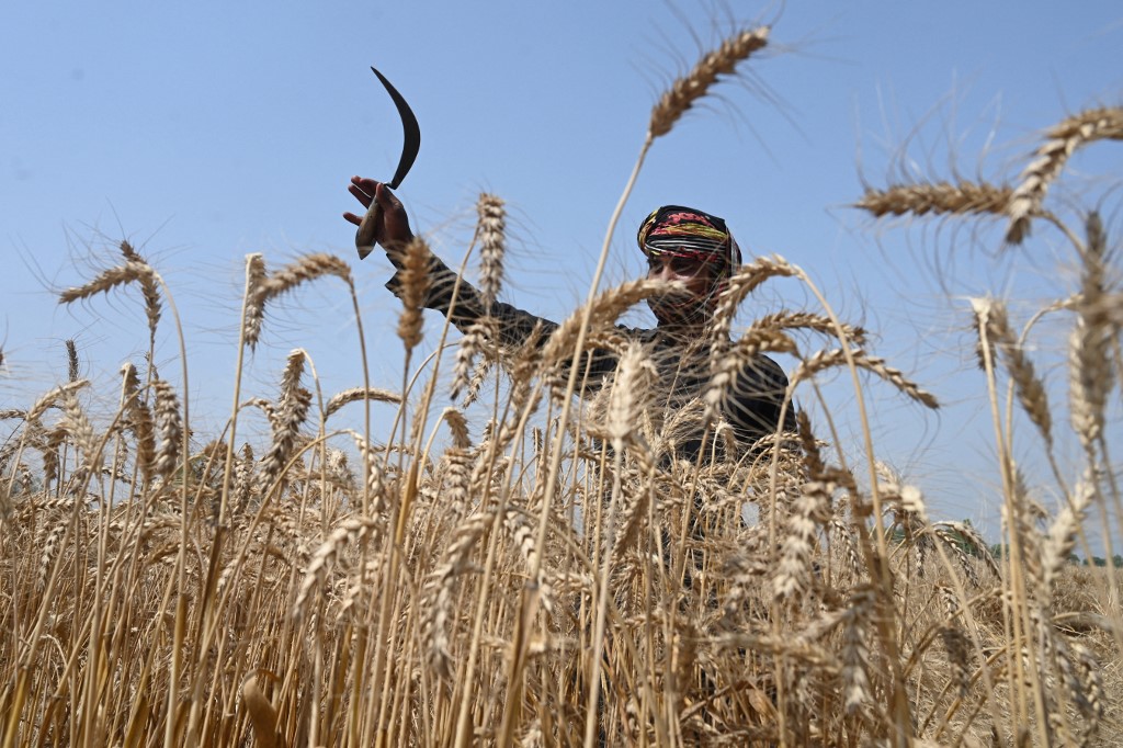 Agriculture-Pak.jpg