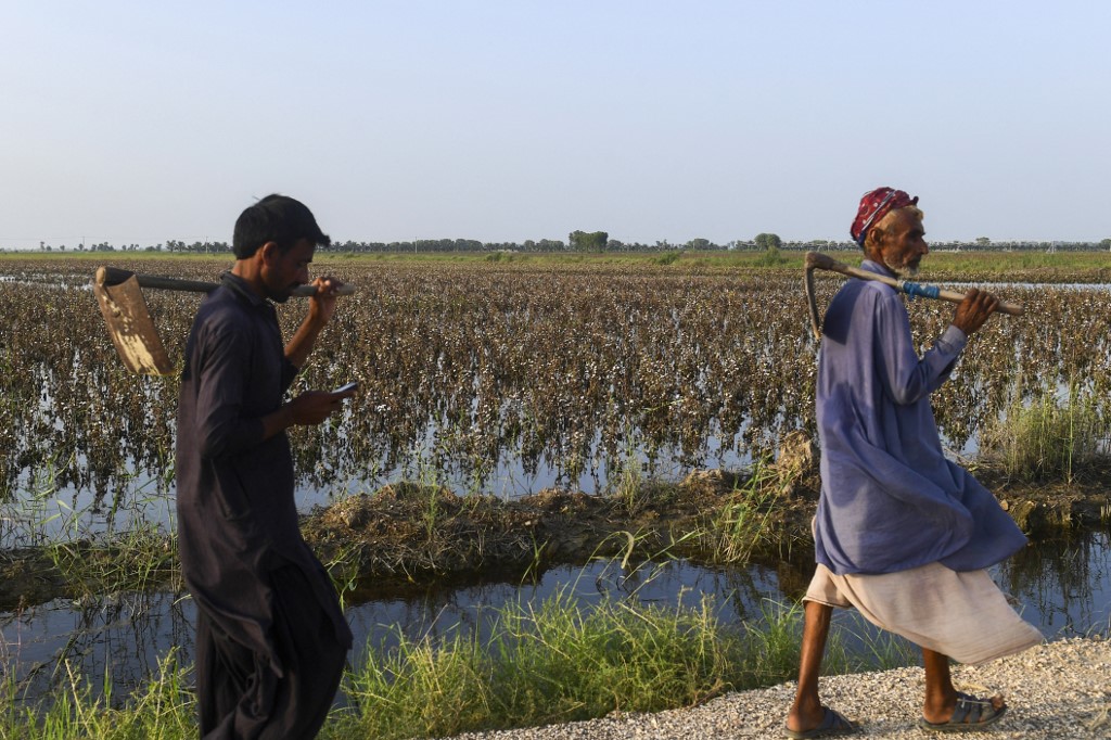 Pakistan Flood Economy 