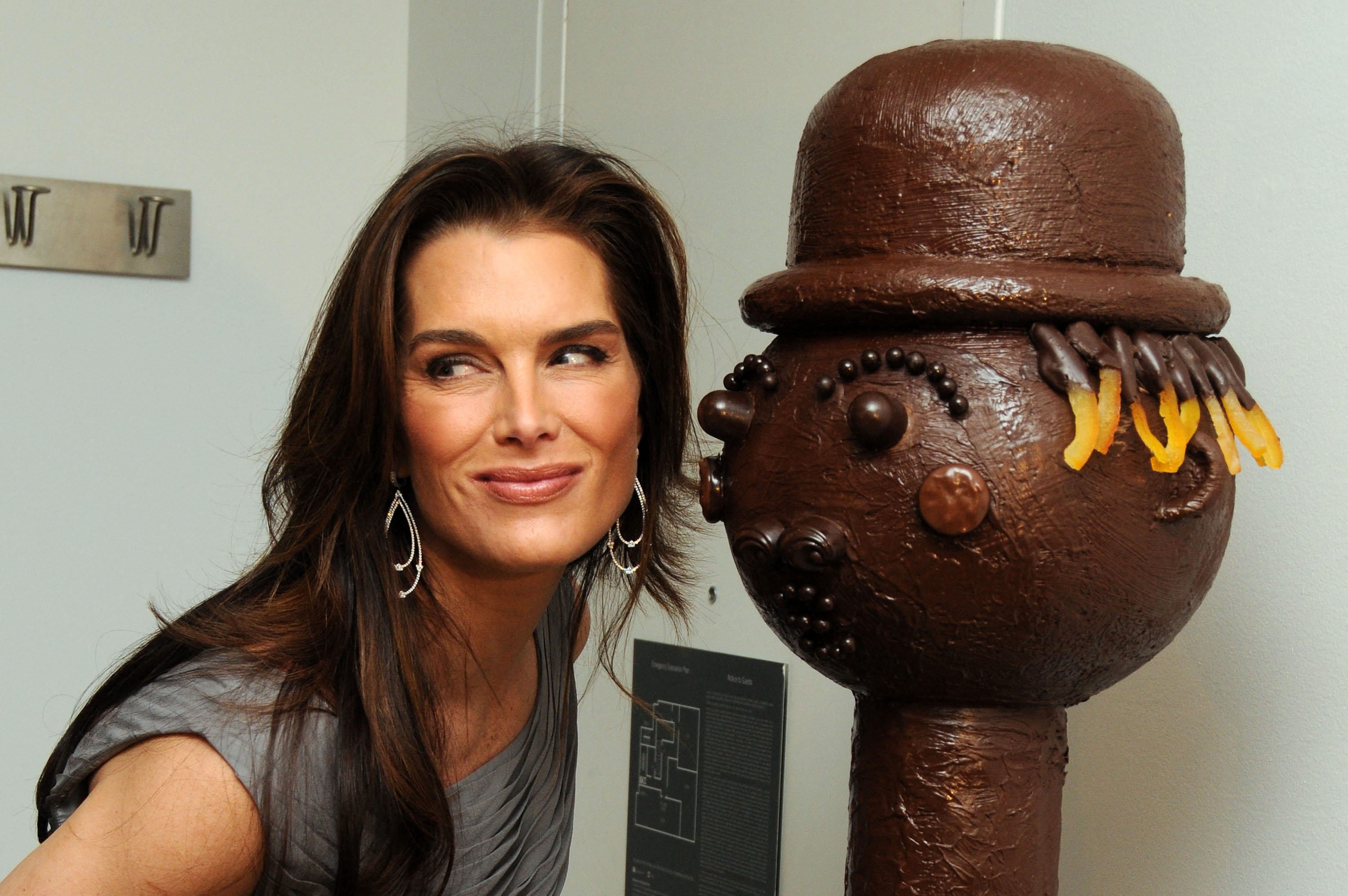 Brookeshields.jpg