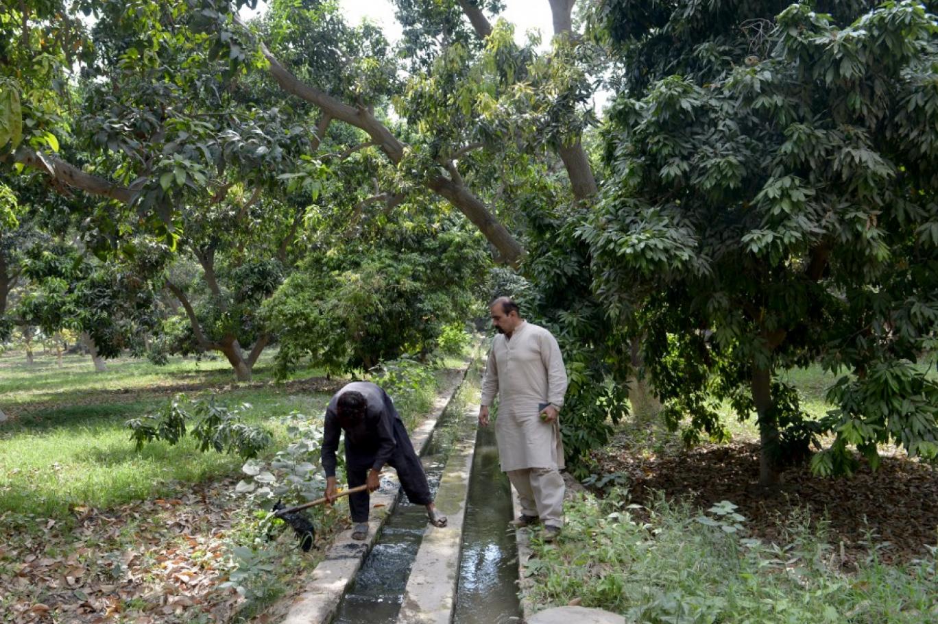 multan.jpg