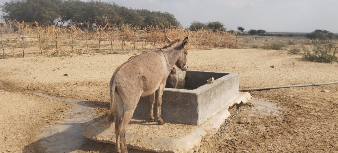 balochistan water shortage