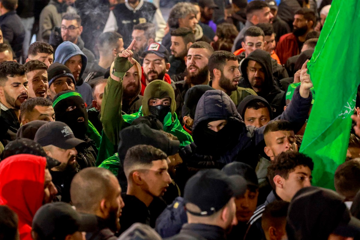 Palestinian protest.jpg
