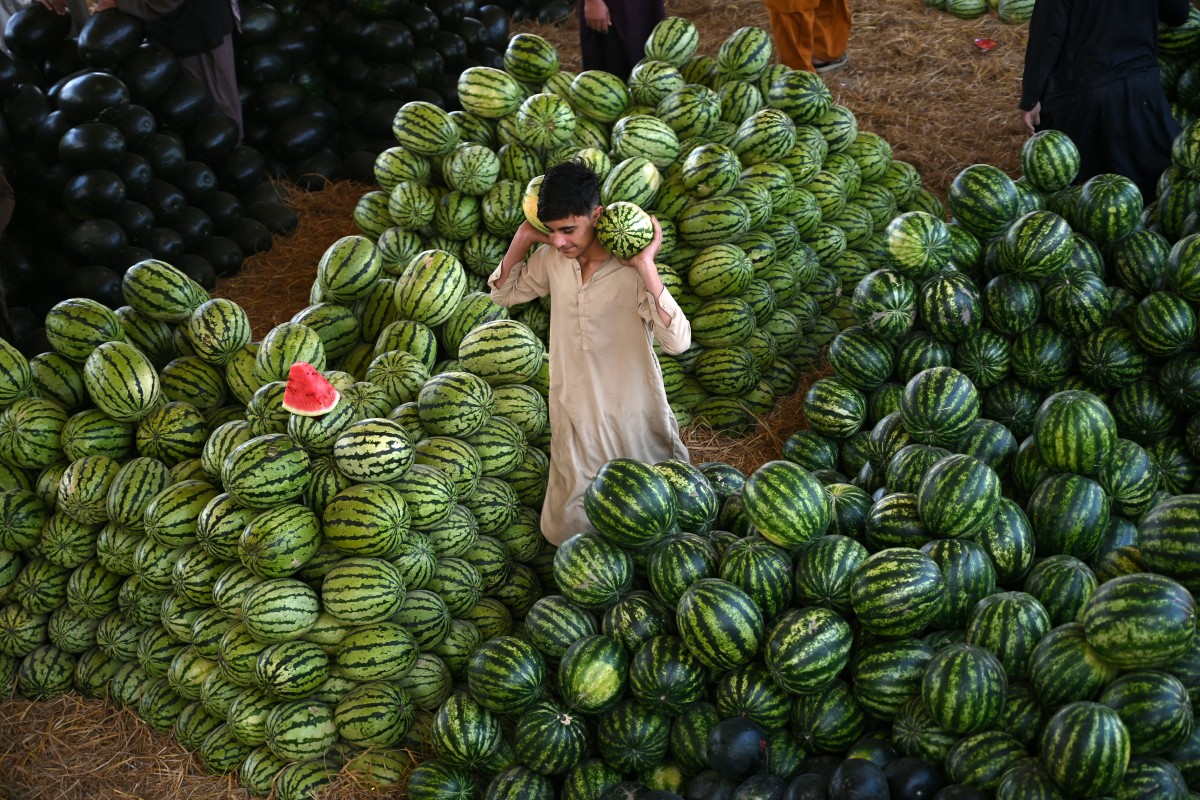 Watermelon 