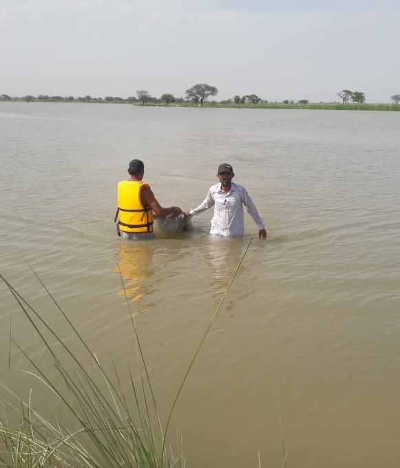 Fish Farms Punjab 