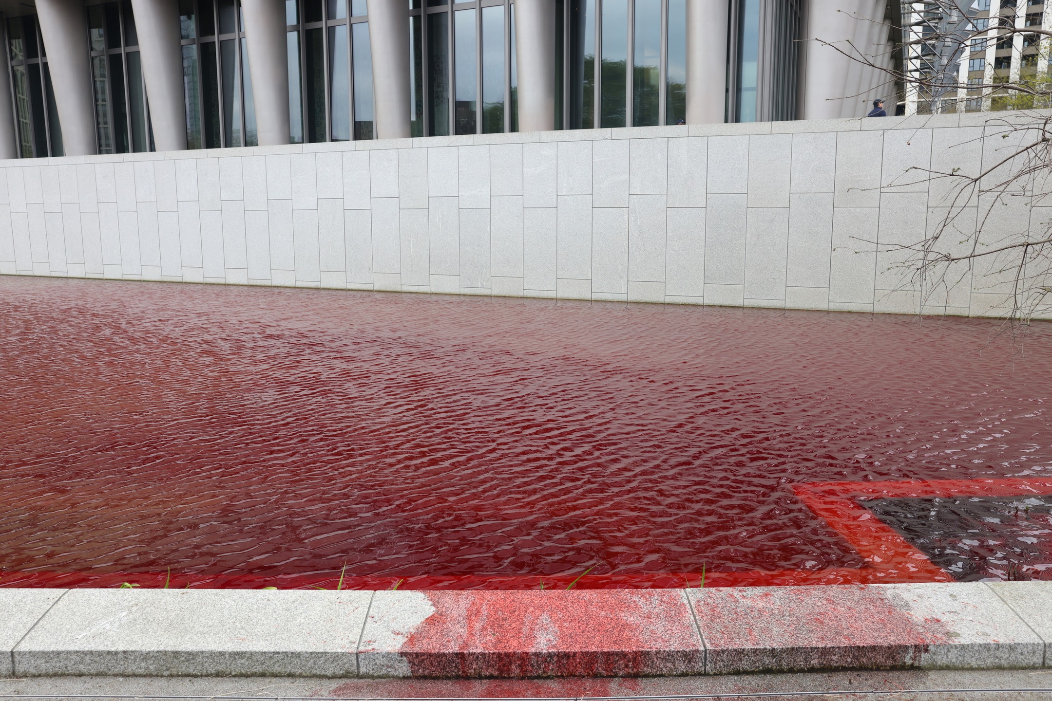 greenpeace-uk.jpg