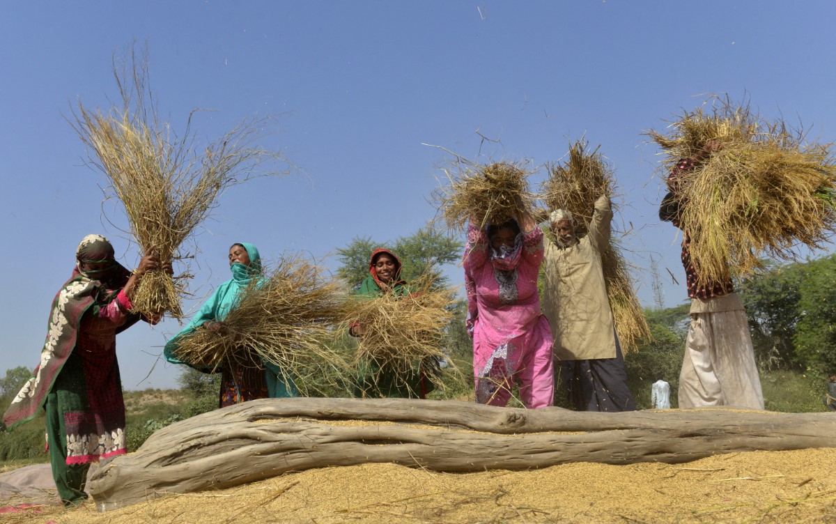 Pakistan Women 