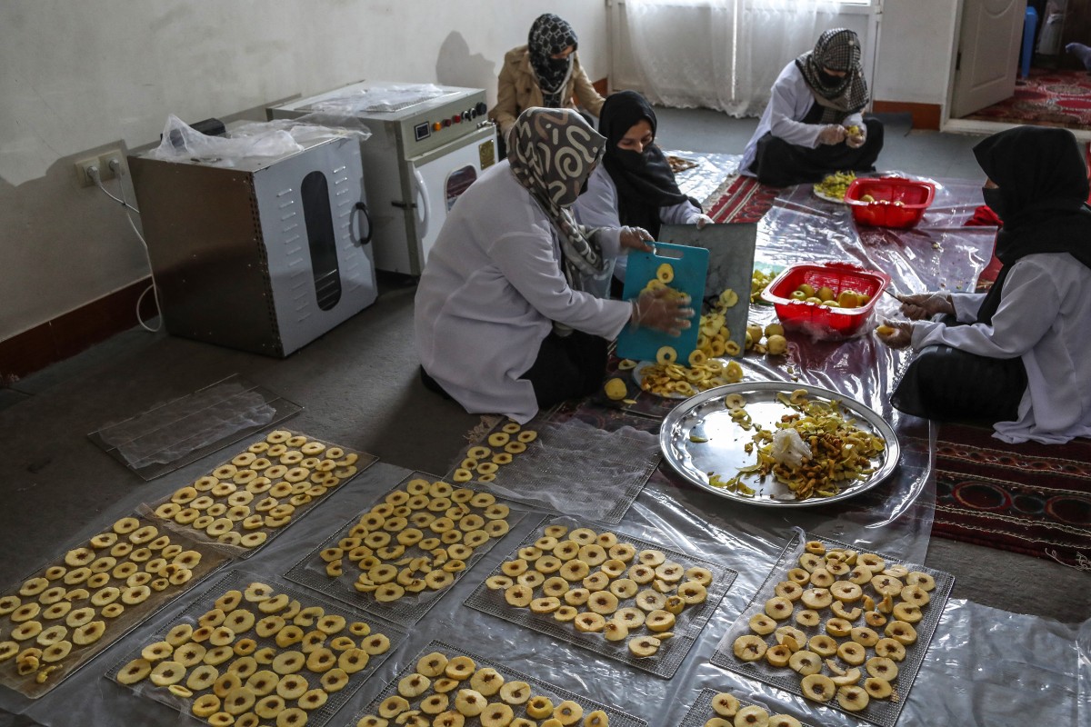 Afghanistan Society Women