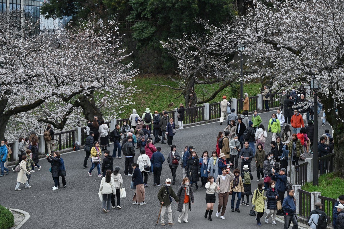 AFP__20250331__38H22T2__v1__Preview__JapanWeatherEnvironmentNatureCherryBlossoms.jpg