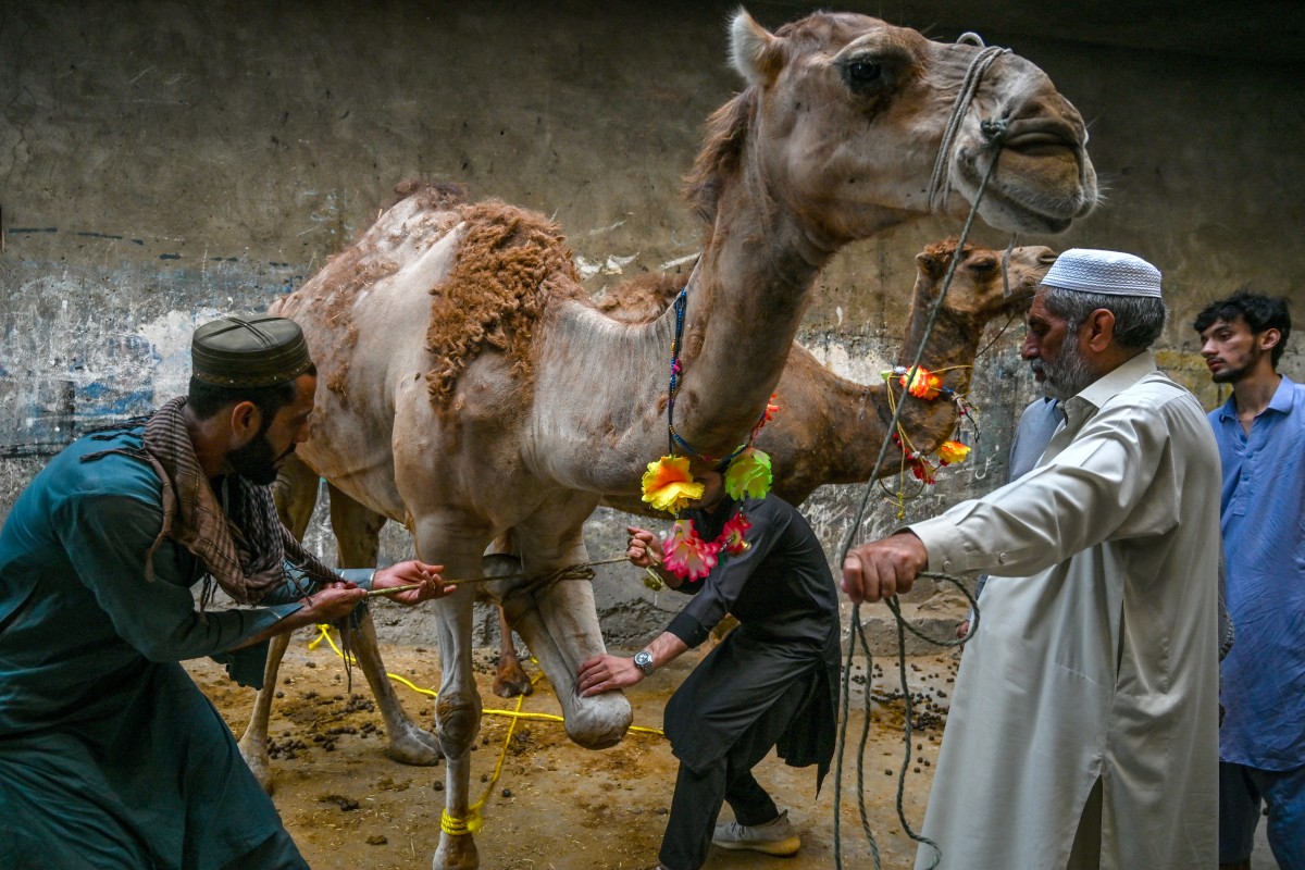 AFP__20250607__49JK8TE__v1__Preview__PakistanReligionIslamEid.jpg