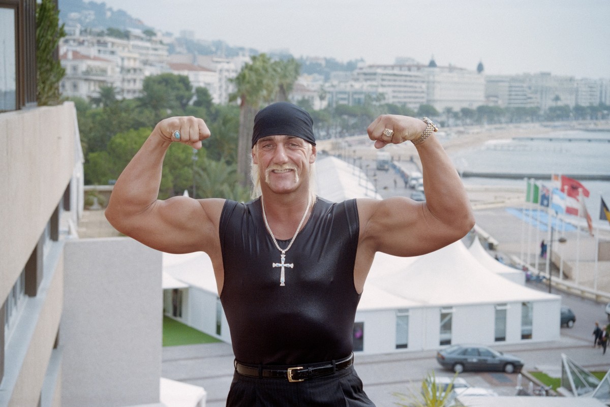 Hogan Hulk