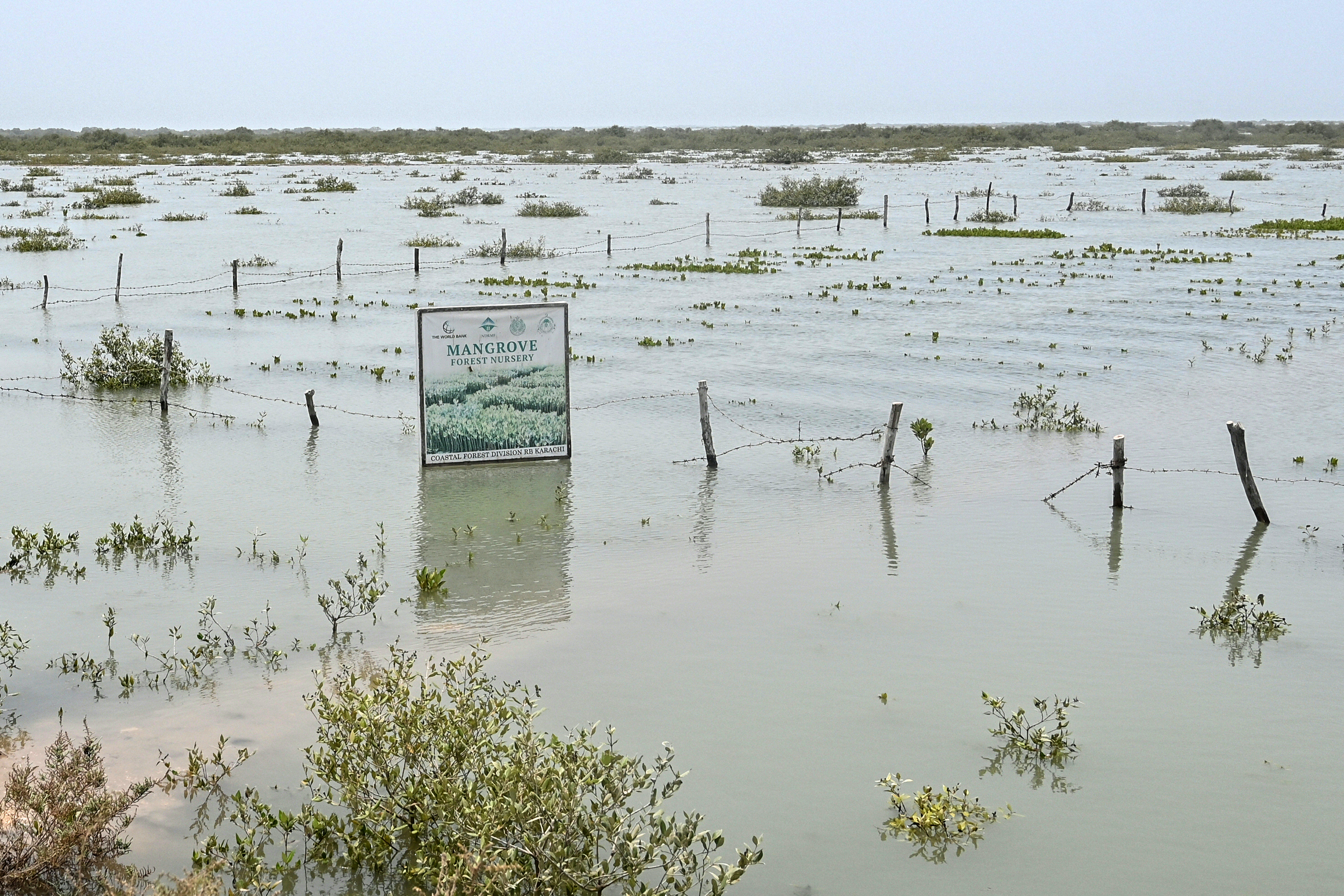 Indus river delta