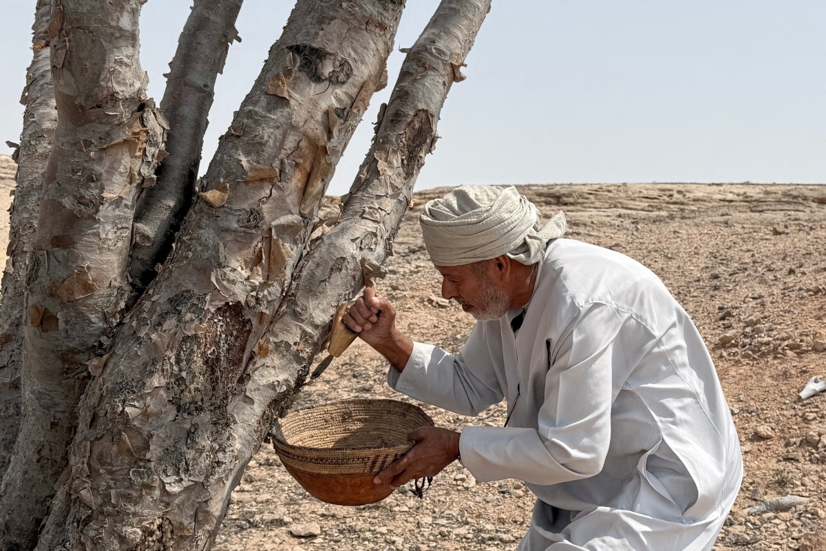 AFP__Loban_OmanNatureConservation (1).jpg