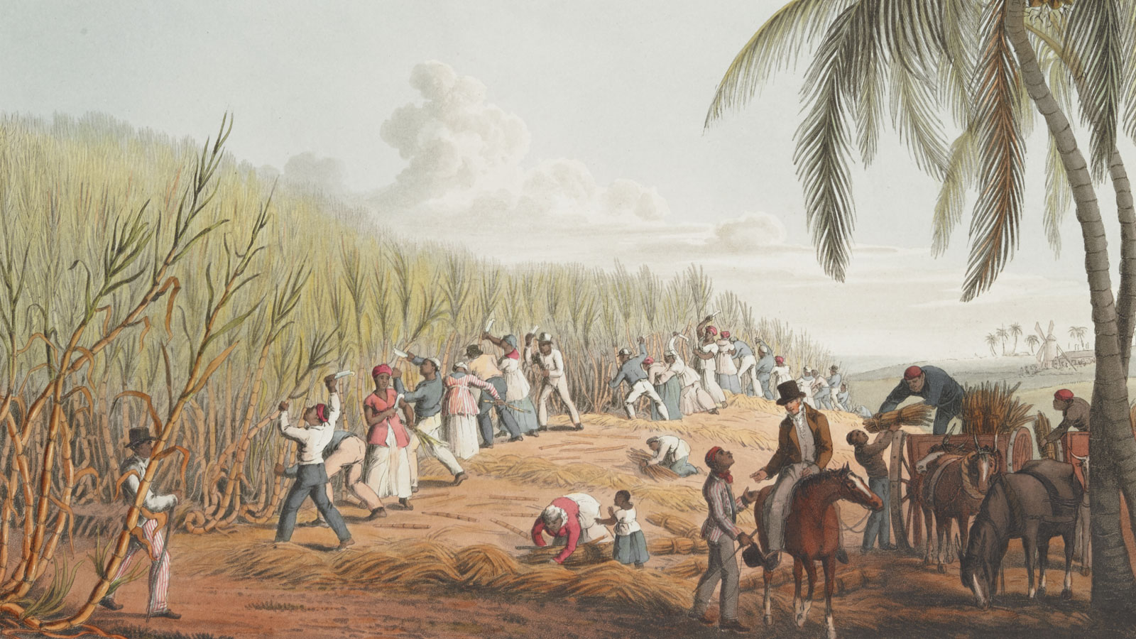An-introduction-to-the-Caribbean-empire-and-slavery-banner-crop.jpg