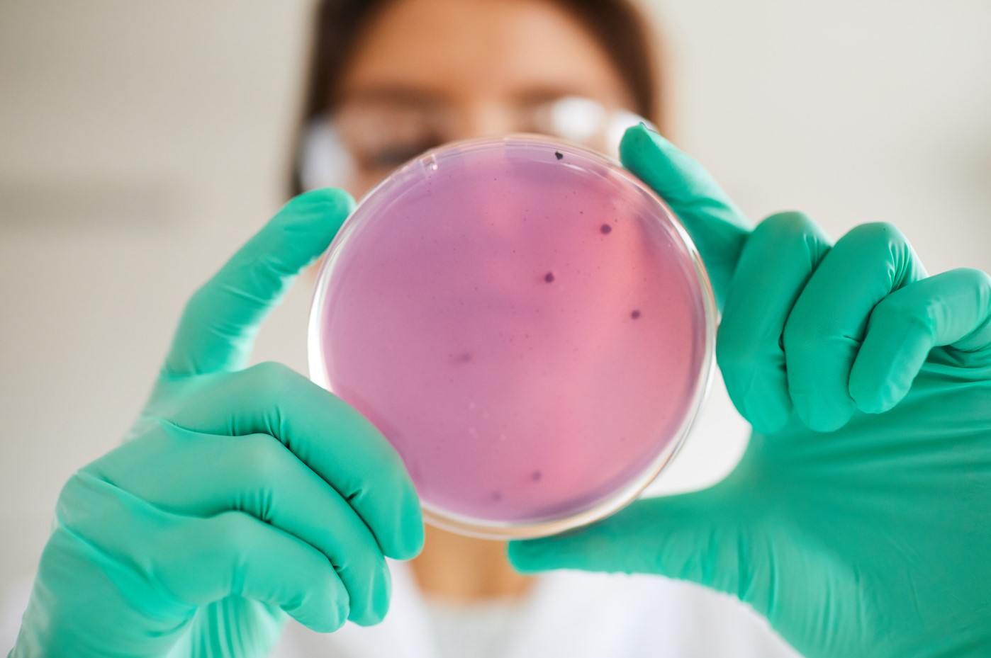 BACTERIA.jpg