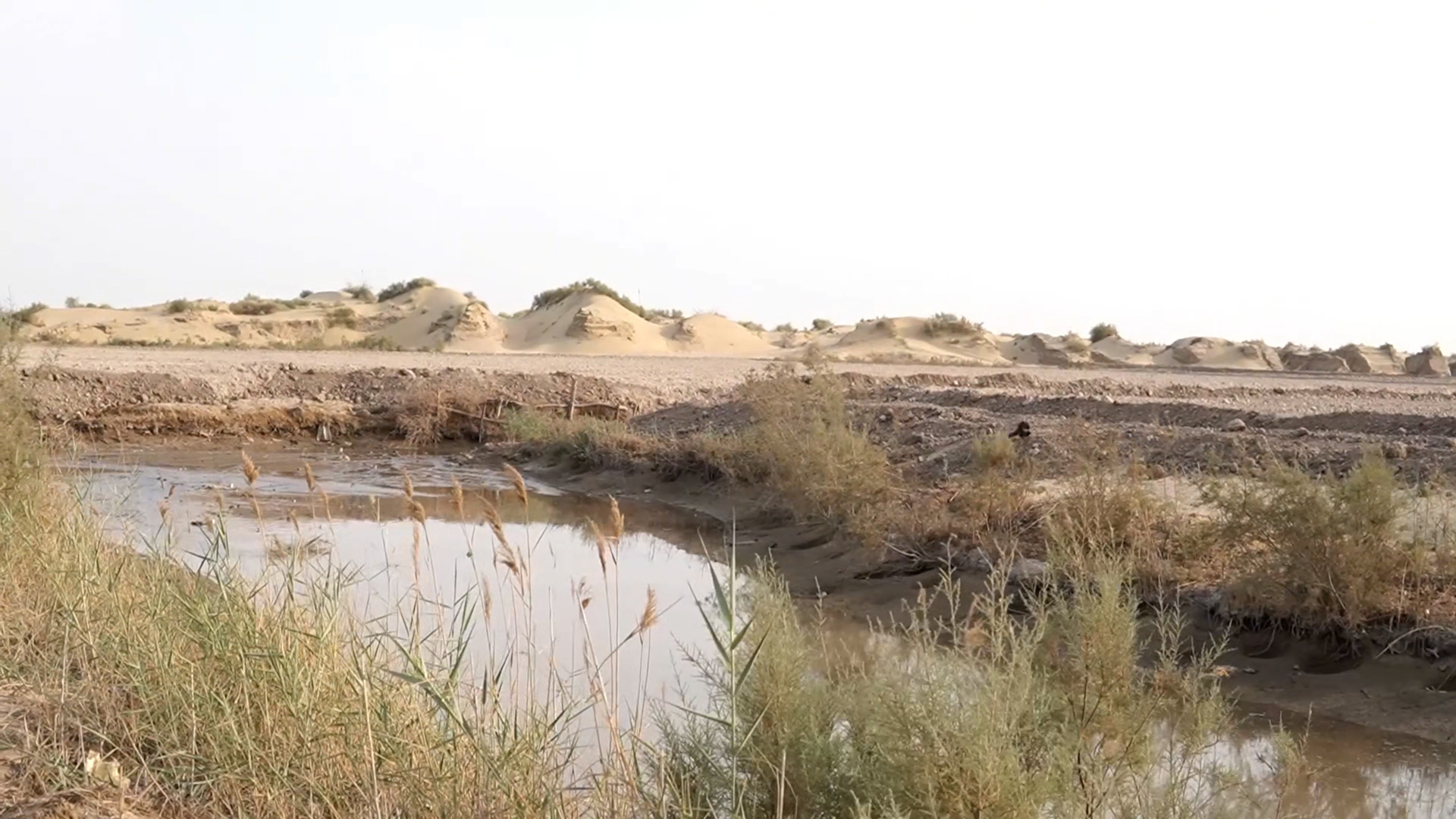 CHOLISTAN000.jpg