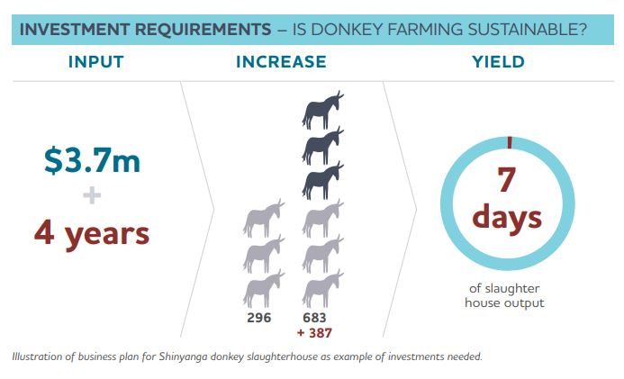 Donkey Farming Report