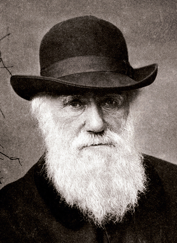 Charles_Darwin_1880.jpeg