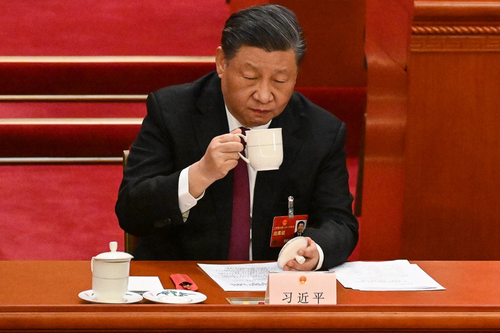China Xi Jingping AFP.jpg