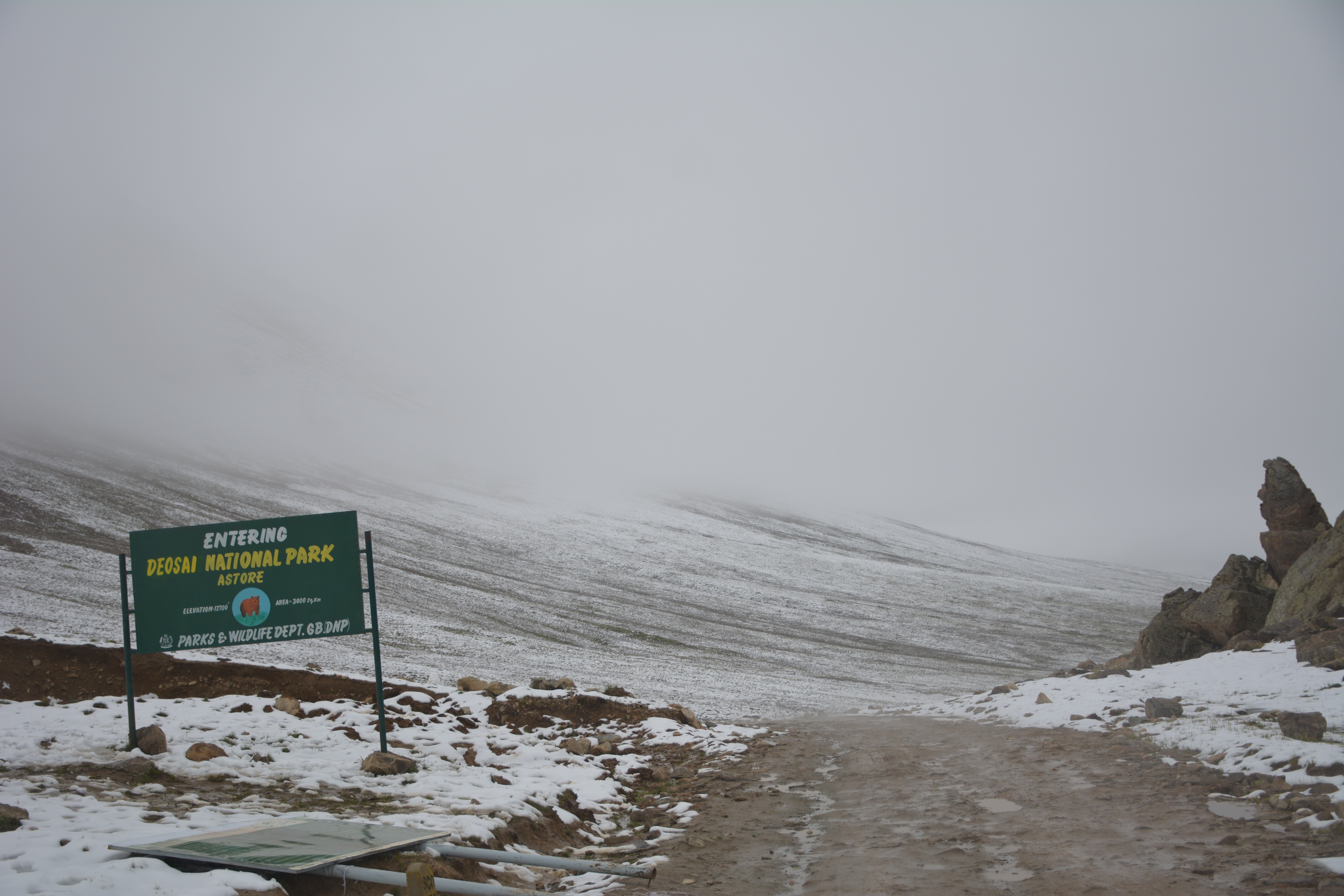 DSC_0187.JPG