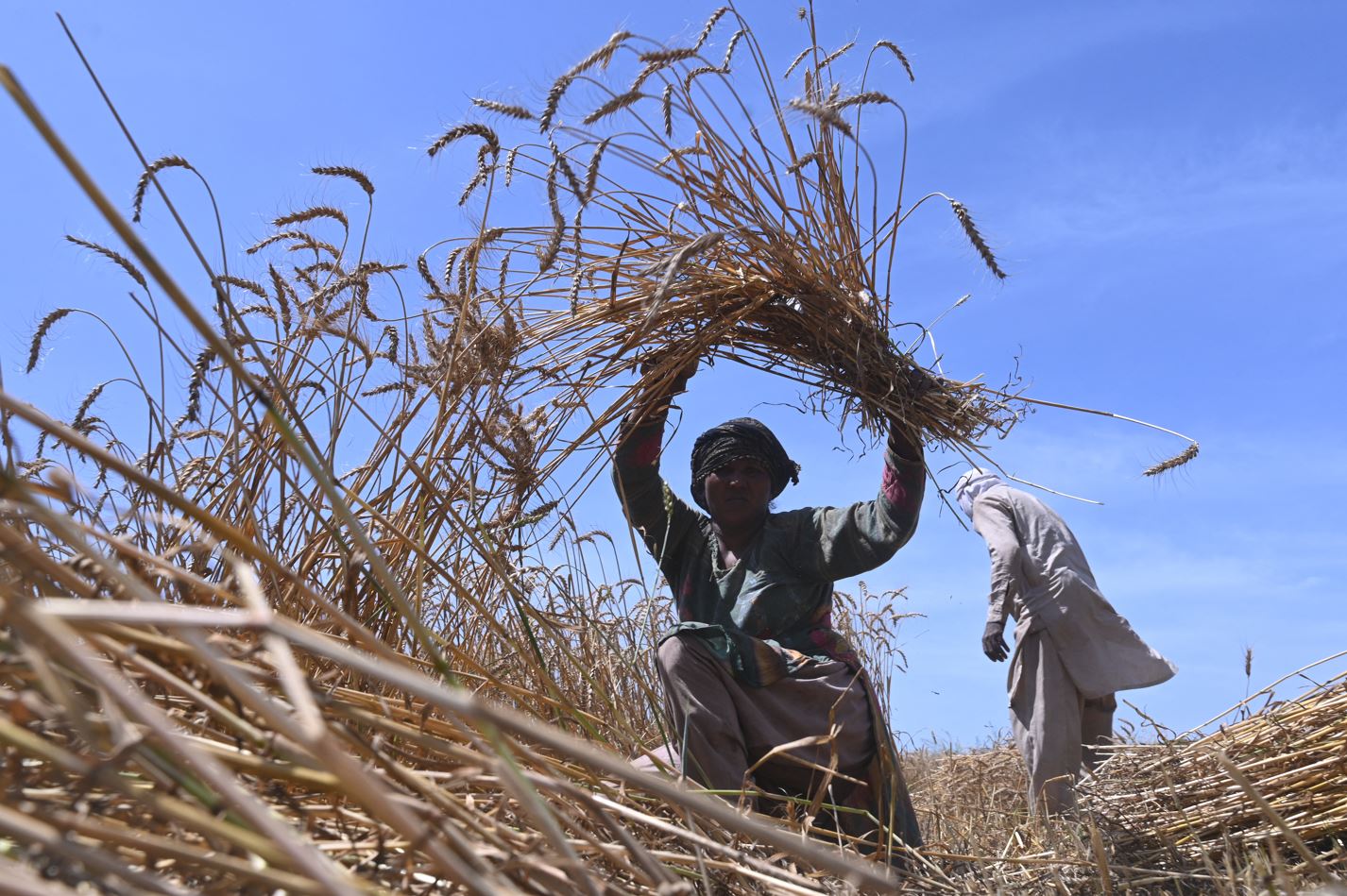 FEMALE FARMER.JPG