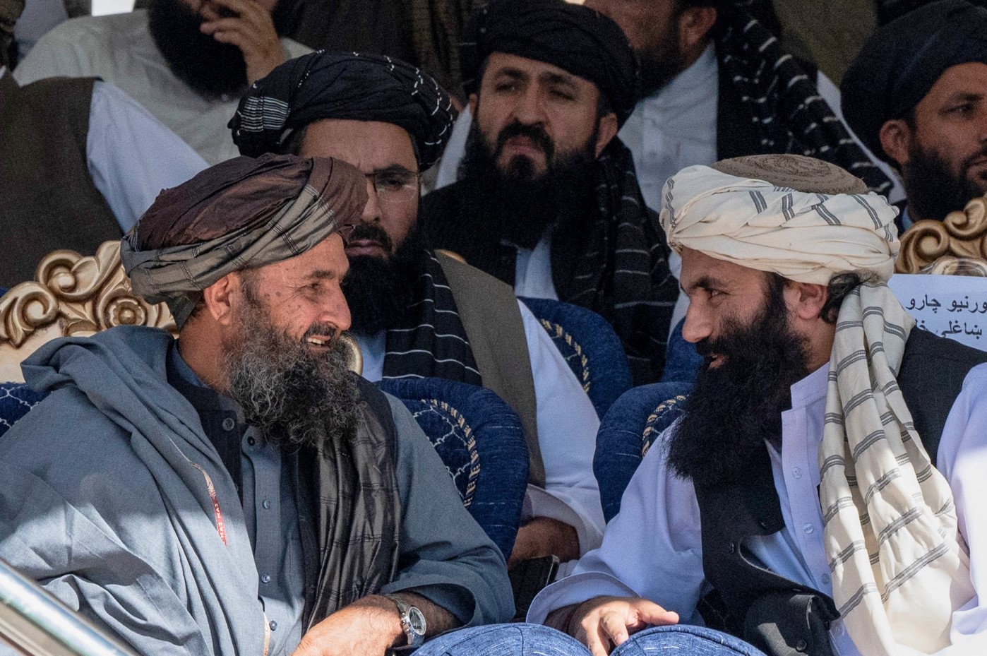 GHANI.jpg