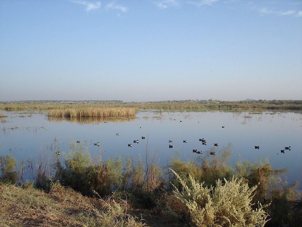 Hunting02.jpg