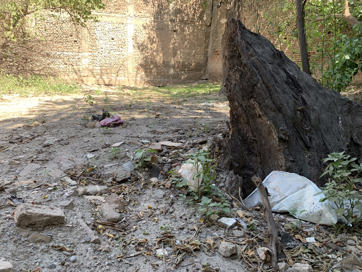 Peshawar Afghan King Graveyard 