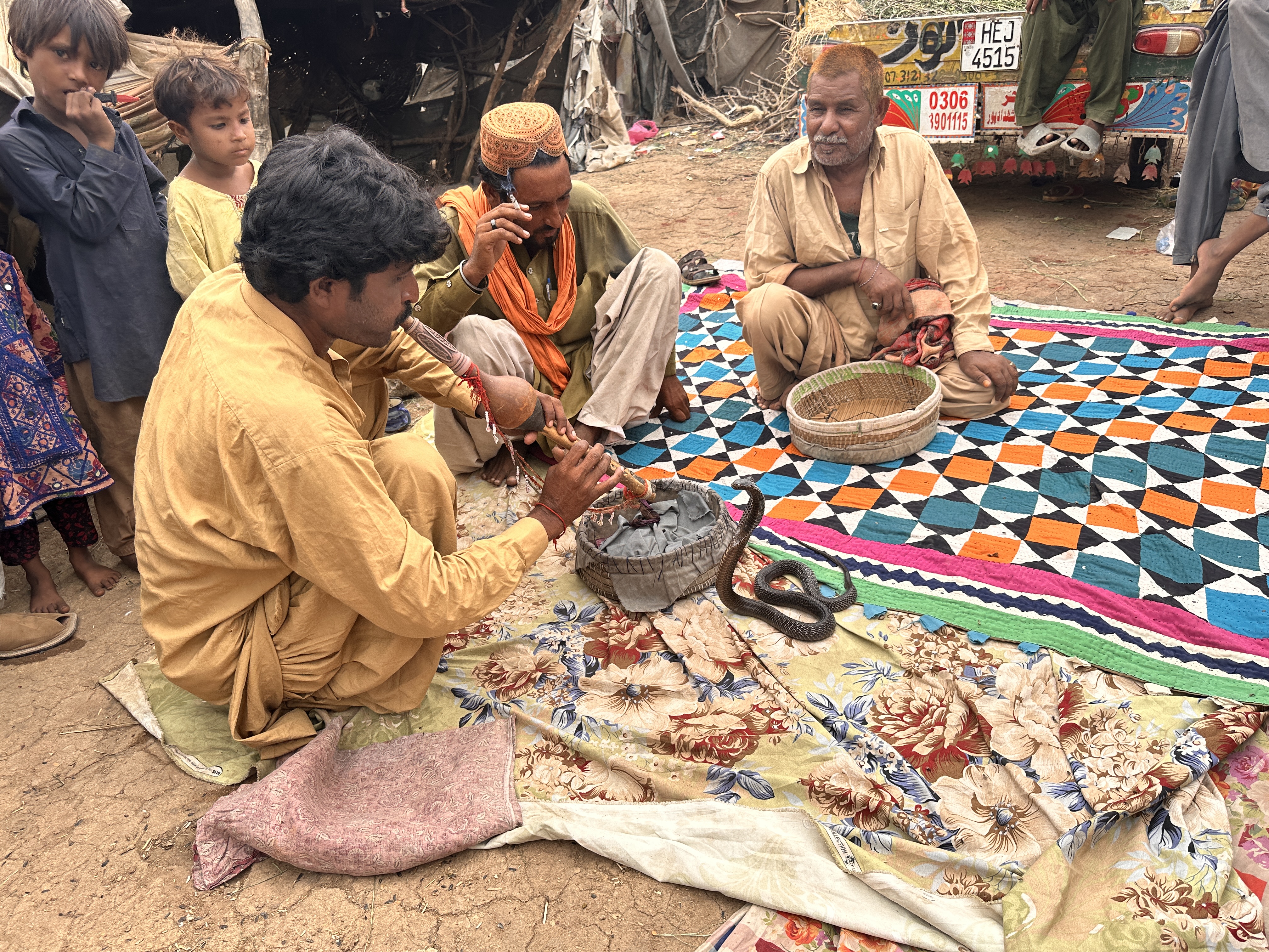Jogi Snake Charmers