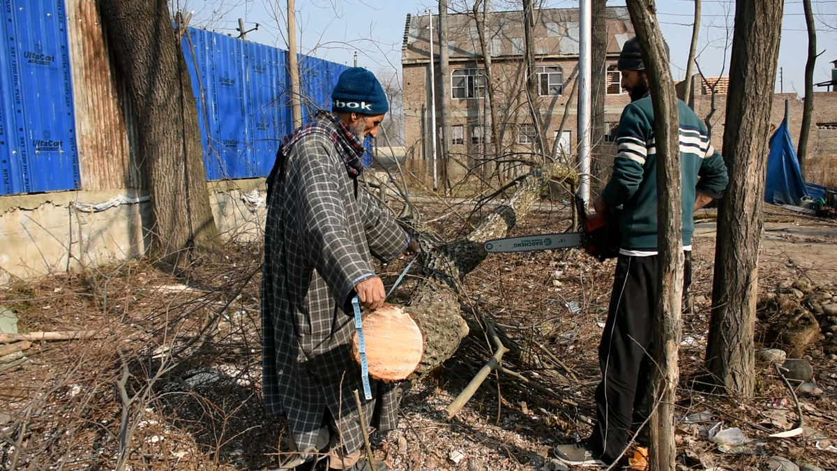 India_Kashmir_Bat_Industry_-_Najam_Saqib.00_26_07_21.Still004.jpg