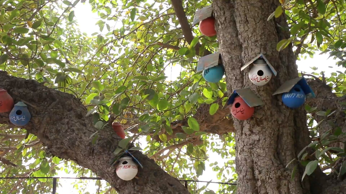 Faisalabad Bird Feeders 