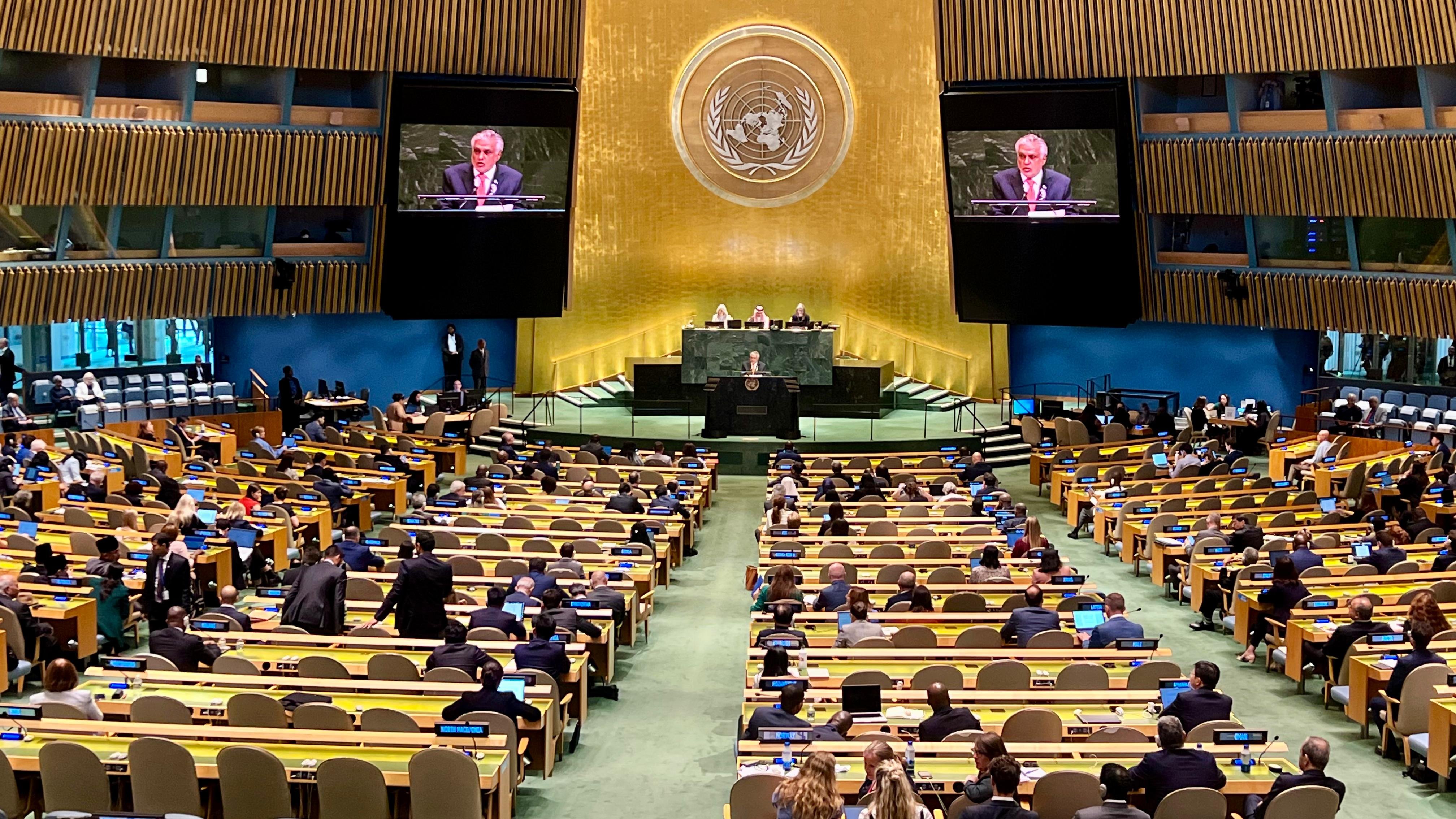 Ishaq Dar in United Nations General Assembly.jpg