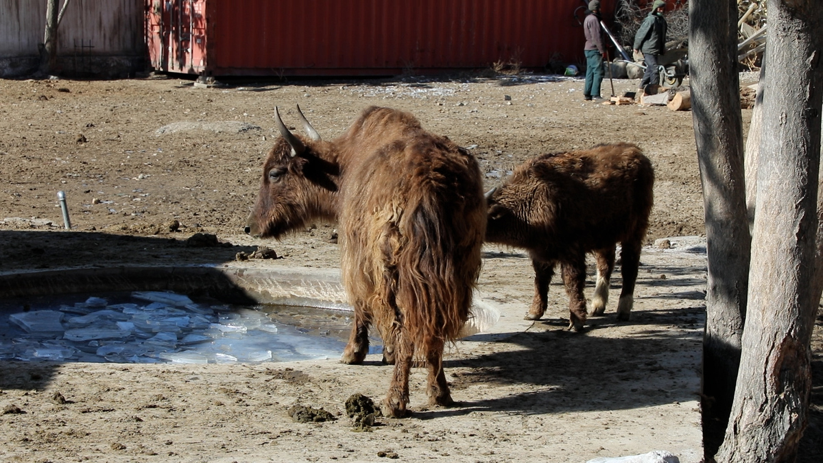 Kabul_Zoo.jpg