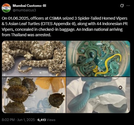 Mumbai-customs.jpg