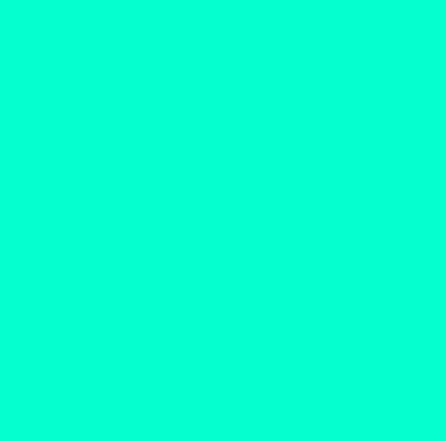 NEW COLOR.jpg