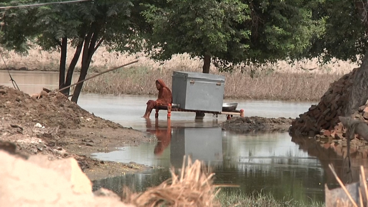 Okara Flood.jpg