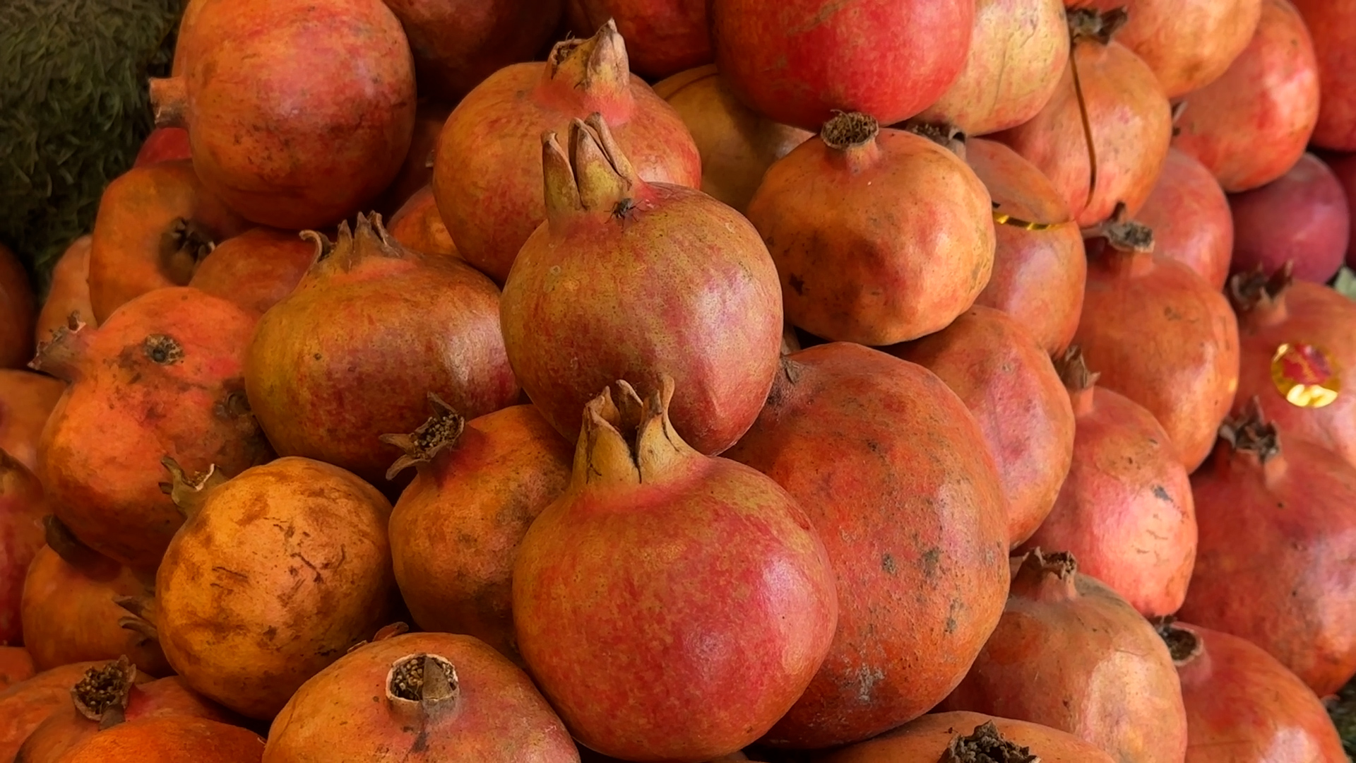 Kandhari_Pomegranate